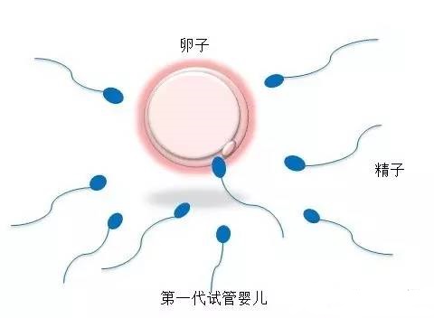 供卵代孕咨询公司